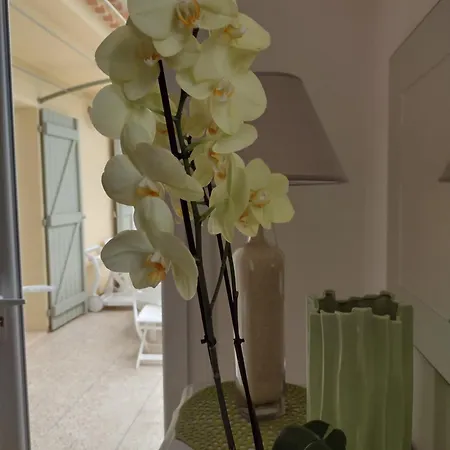 Appartement Avec 3 Au Milieu Des Vignes