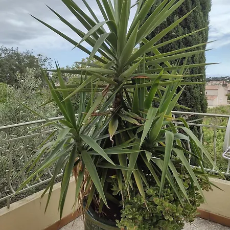 Avec 3 Au Milieu Des Vignes Appartement La Seyne-sur-Mer